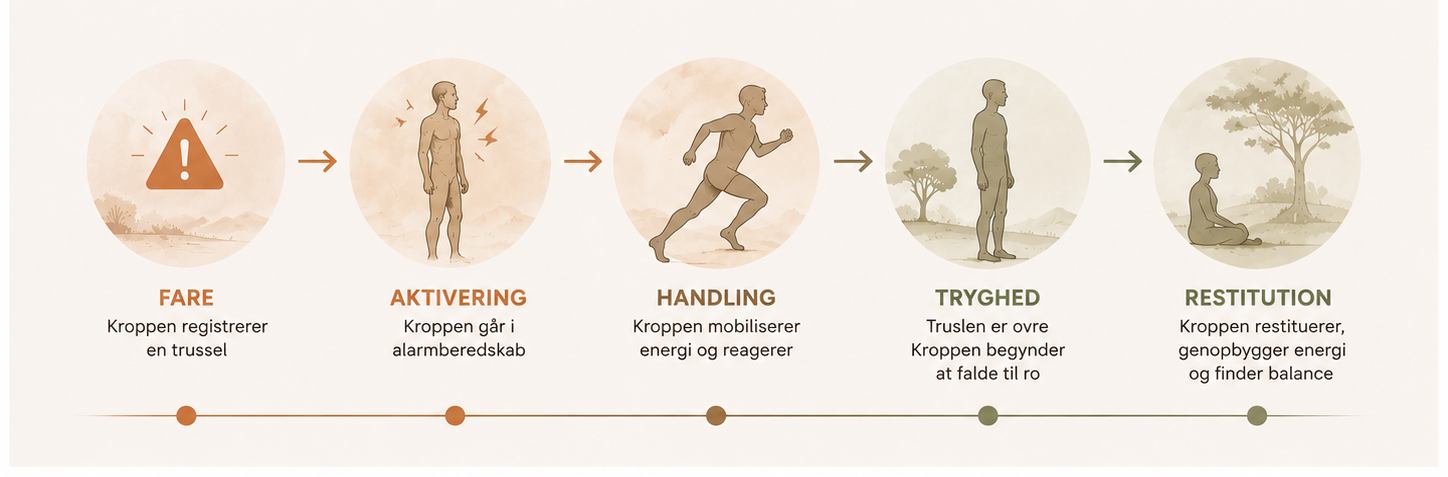 Illustration: fra alarmberedskab til restitution
